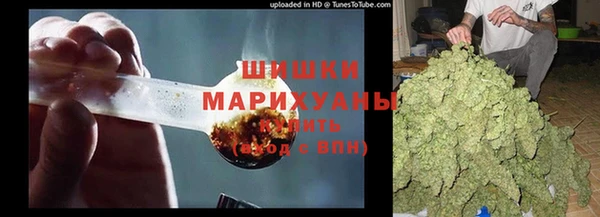 молекула духа Балахна