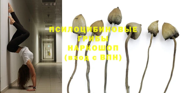 PSILOCYBIN Сатка